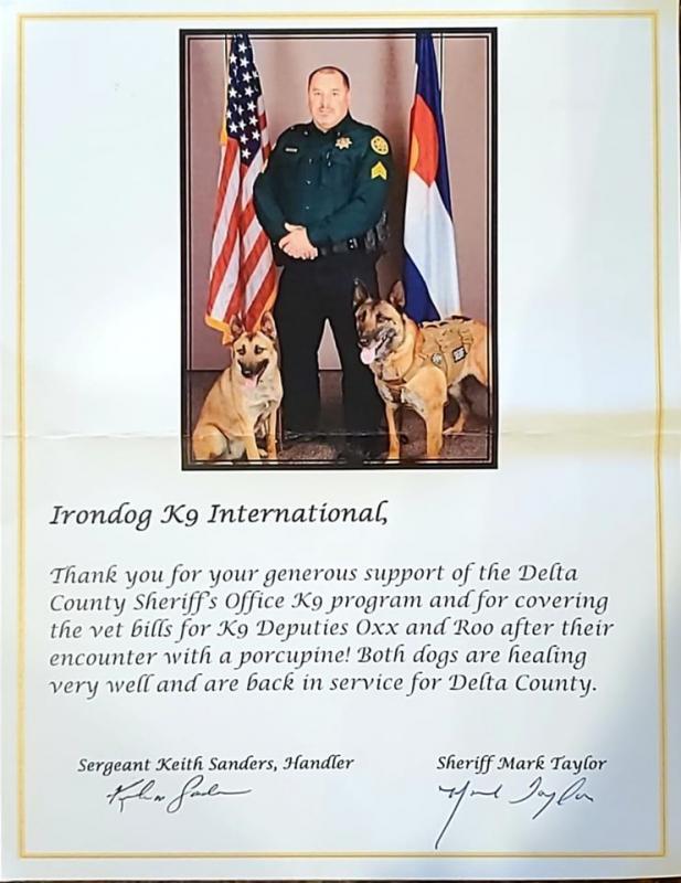 Irondog K9 International Inc Reviews and Ratings McDonough, GA