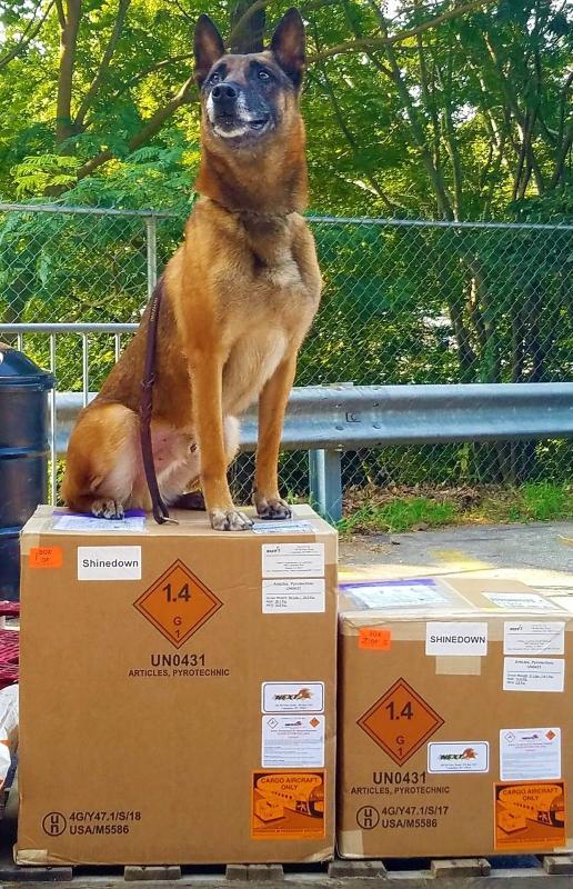 Irondog K9 International Inc Reviews and Ratings McDonough, GA