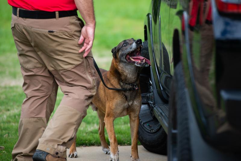 Irondog K9 International Inc Reviews and Ratings McDonough, GA