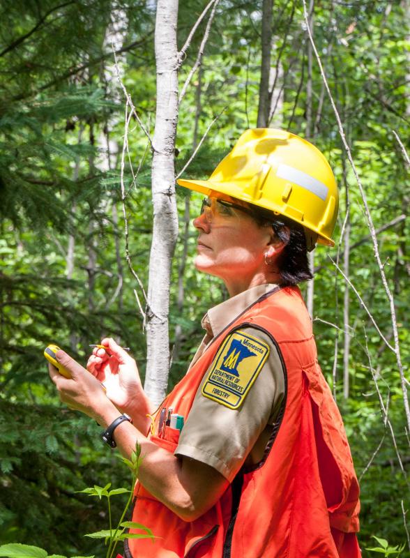 National Association of State Foresters Reviews