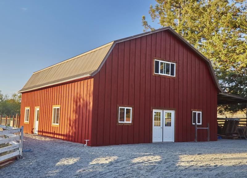 Lily's Legacy Senior Dog Sanctuary Reviews and Ratings Petaluma, CA Donate, Volunteer