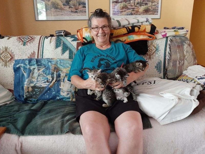 Humane Society Of Wickenburg Reviews and Ratings Wickenburg, AZ