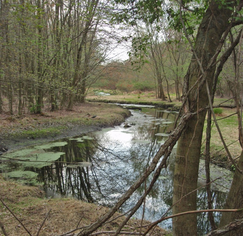 New Jersey Conservation Foundation Reviews and Ratings | Far Hills, NJ