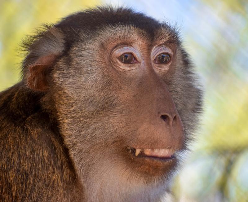 Keepers of the Wild Reviews and Ratings Valentine, AZ Donate