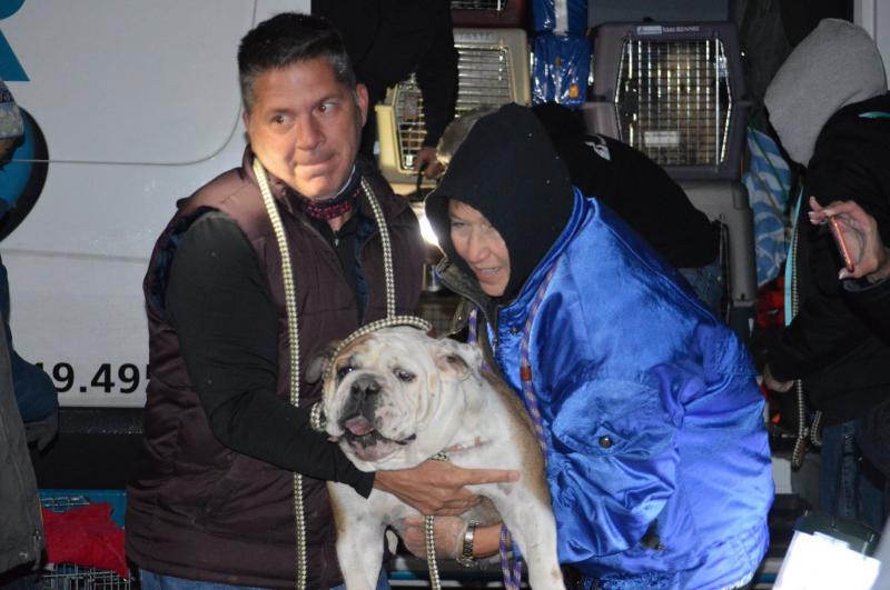 National Mill Dog Rescue Reviews and Ratings Peyton, CO Donate