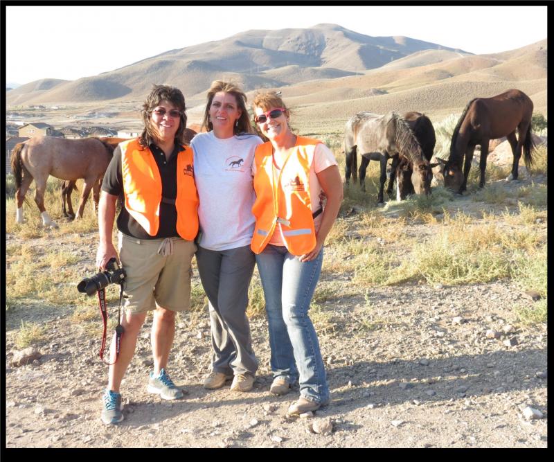 Wild Horse Connection Reviews and Ratings Reno, NV Donate