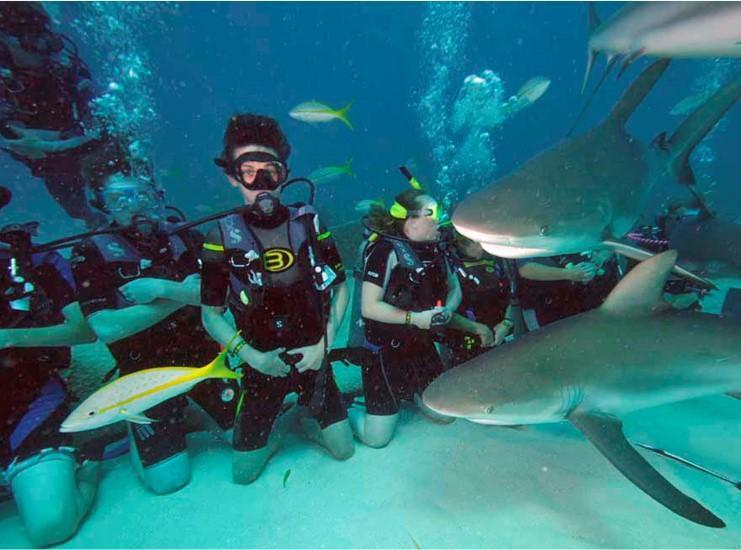 Aquarium & Shark Lab by Team ECCO Reviews and Ratings Hendersonvlle