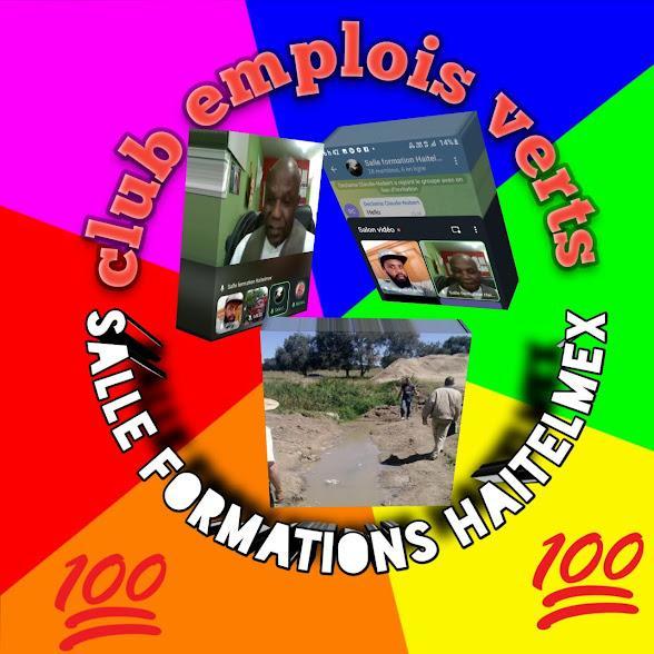 Search Box Image