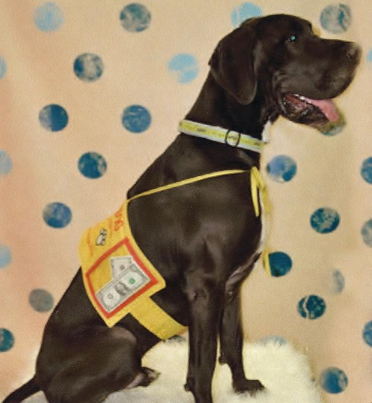 MIDATLANTIC GREAT DANE RESCUE LEAGUE INC Reviews and Ratings Hanover