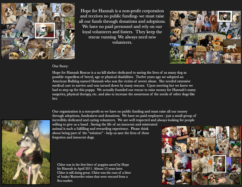 Search Box Image