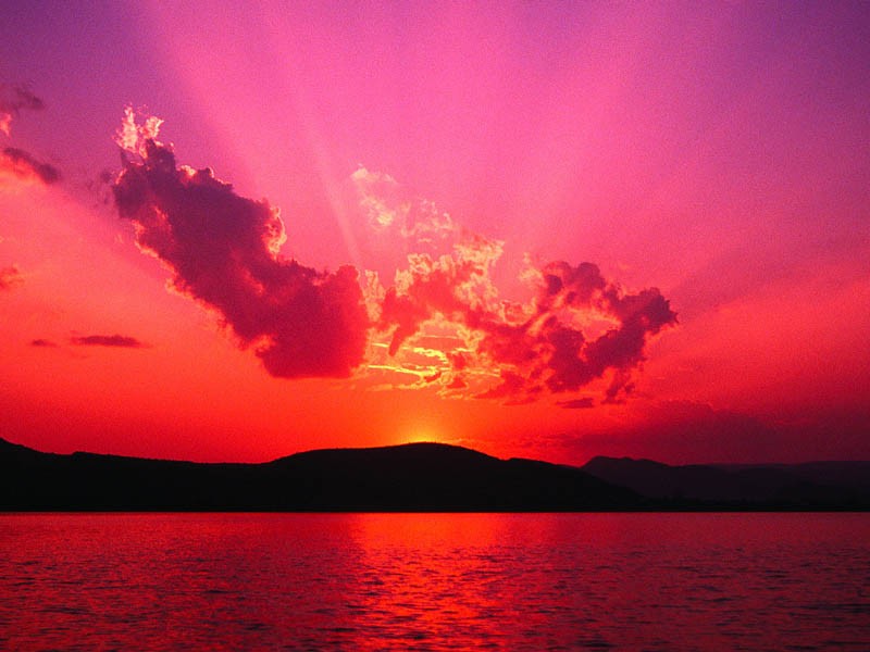 Search Box Image