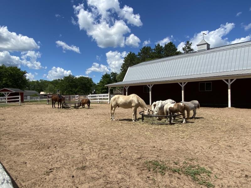 Rawhide Youth Services Reviews and Ratings New London, WI Donate