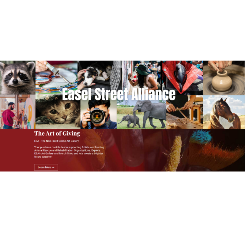 Search Box Image