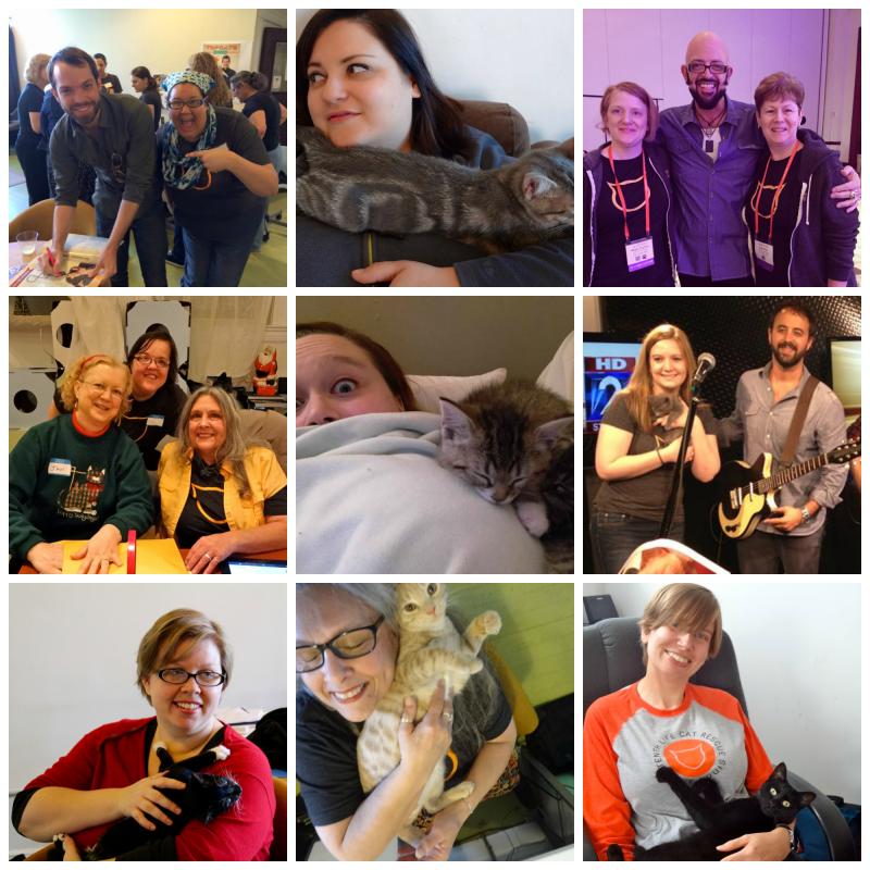 Tenth Life Cat Rescue Reviews and Ratings Saint Louis, MO Donate