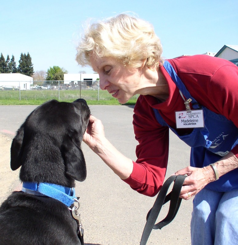 Sacramento SPCA Reviews and Ratings Sacramento, CA Donate