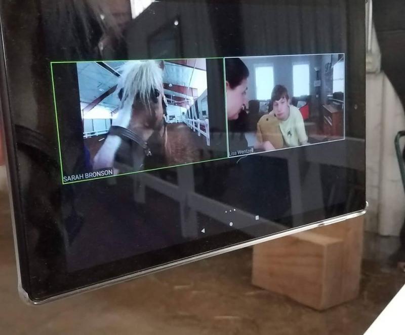 Search Box Image
