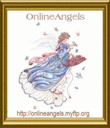 Search Box Image