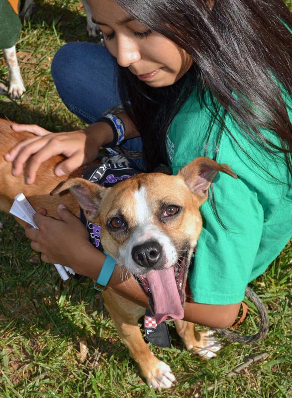 Humane Society of Hall County dba Humane Society of Northeast