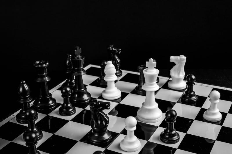 Search Box Image