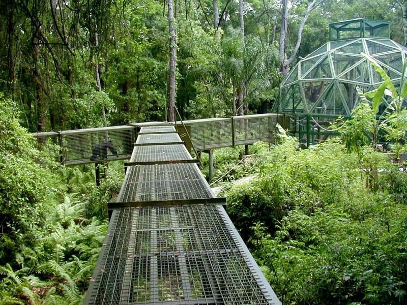 Center For Great Apes Reviews and Ratings Wauchula, FL Donate