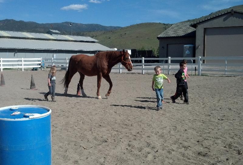 LEAD with Horses Reviews and Ratings Reno, NV Donate, Volunteer, Review GreatNonprofits