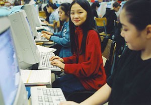 Search Box Image