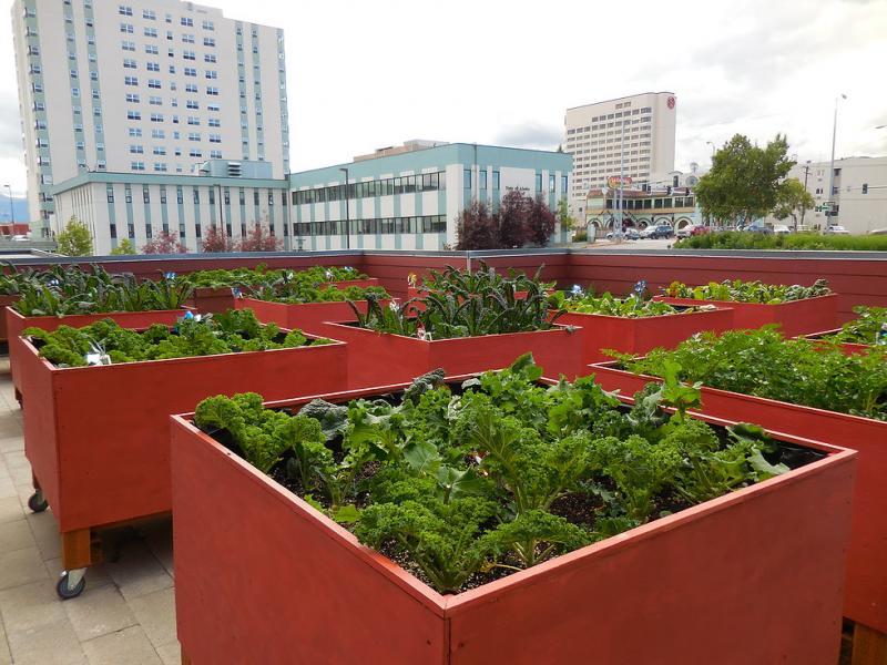 Downtown Soup Kitchen Hope Center Reviews and Ratings ...