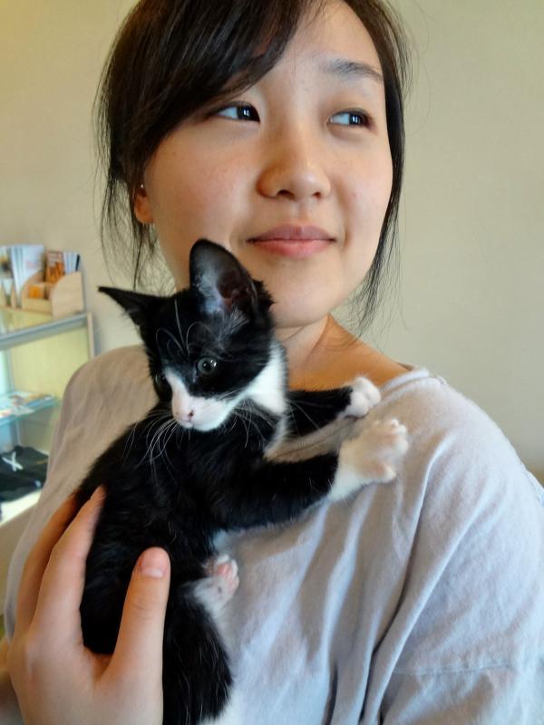 Tenth Life Cat Rescue Reviews and Ratings Saint Louis, MO Donate