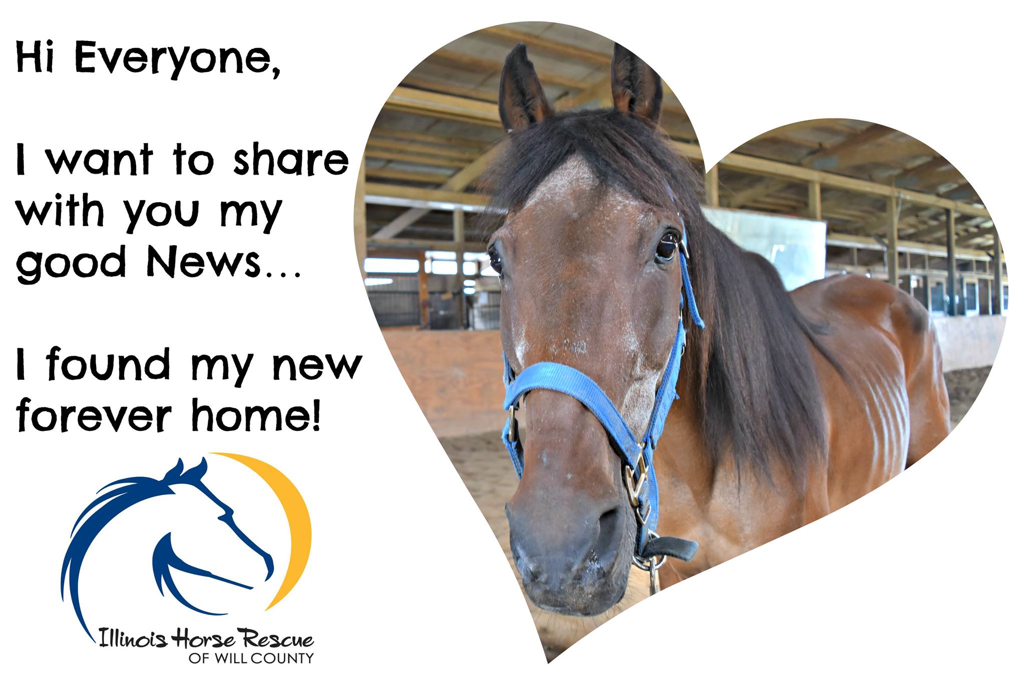 Illinois Horse Rescue of Will County Reviews and Ratings Beecher, IL