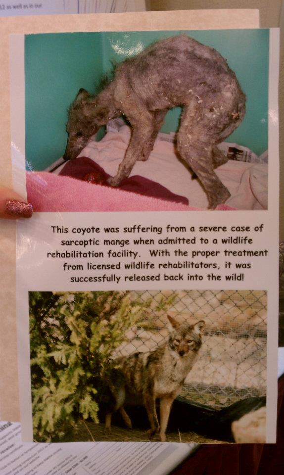 LOUISIANA WILDLIFE REHABILITATORS ASSOCIATION Reviews and Ratings