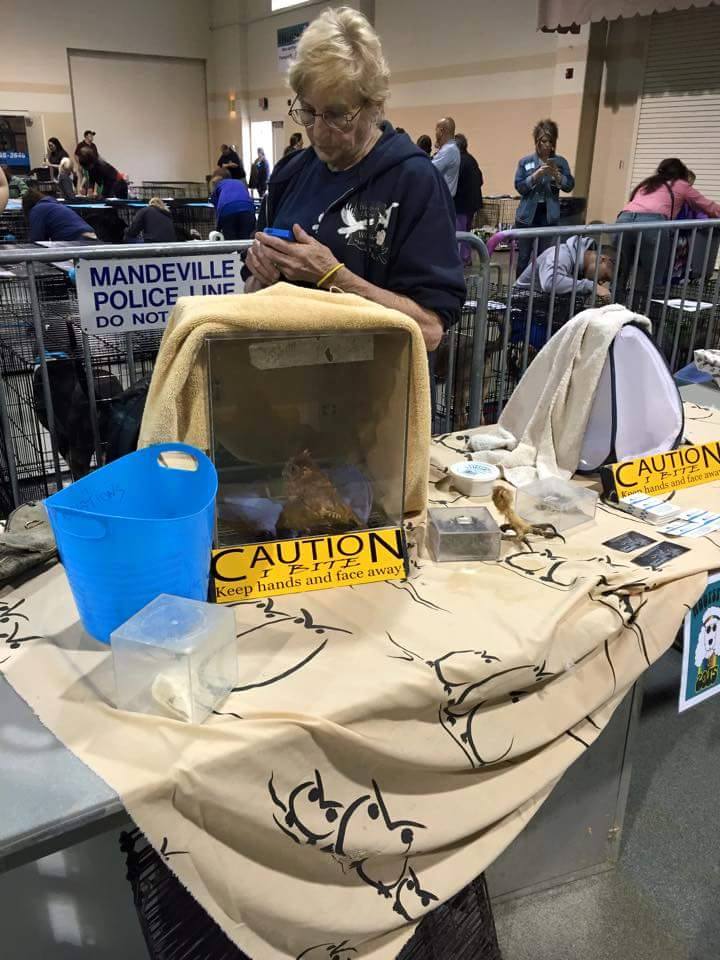 LOUISIANA WILDLIFE REHABILITATORS ASSOCIATION Reviews and Ratings