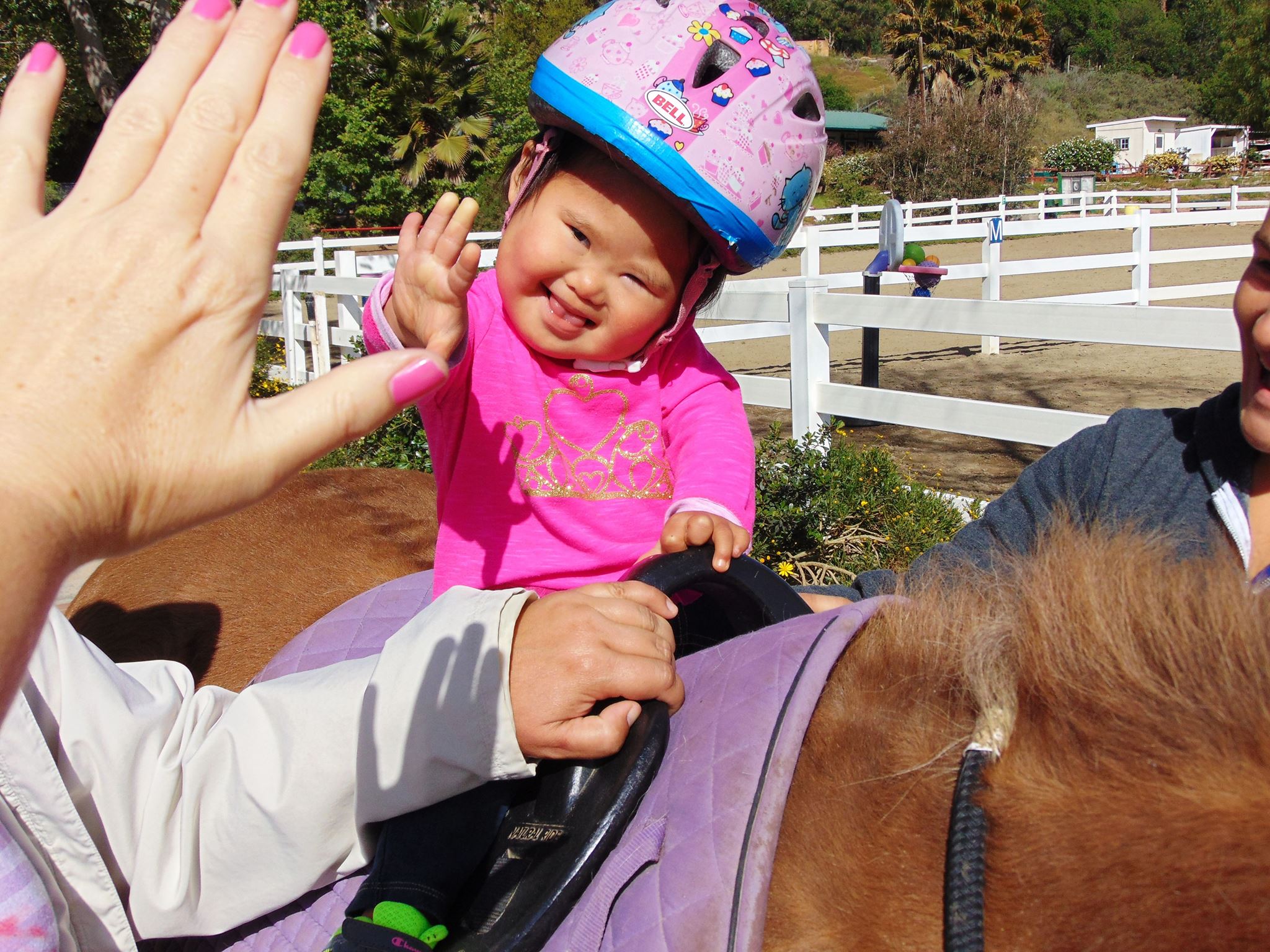REINS Therapeutic Horsemanship Program Reviews and Ratings | Fallbrook ...
