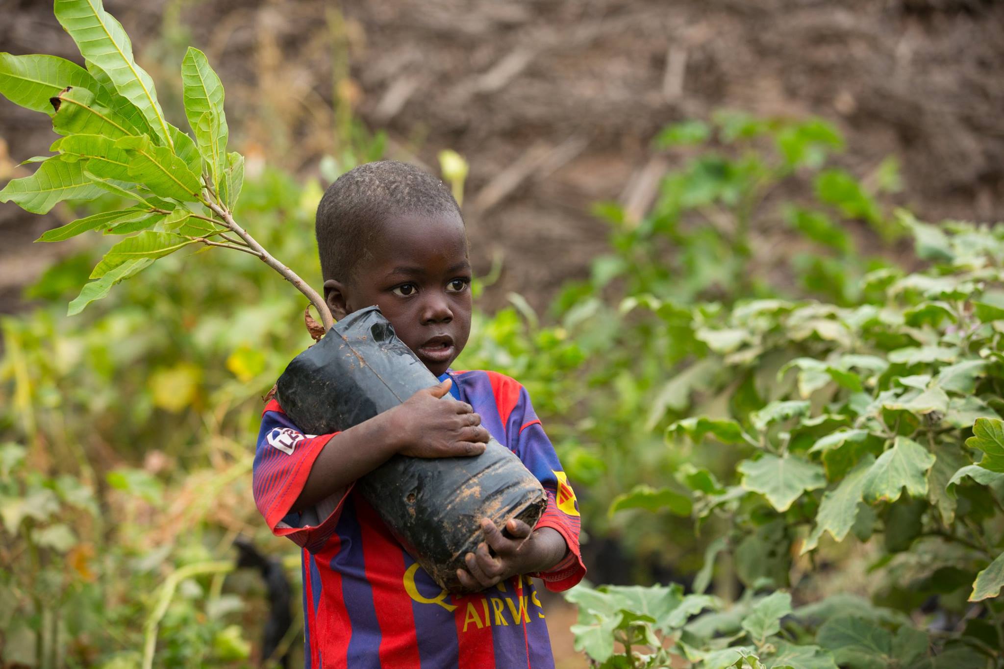 Trees for the Future, Inc. Reviews and Ratings Silver Spring, MD