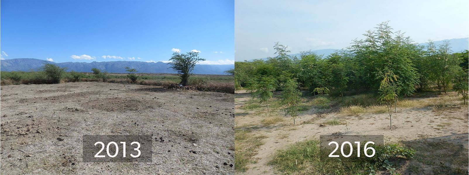 Eden Reforestation Projects Reviews and Ratings Glendora, CA Donate