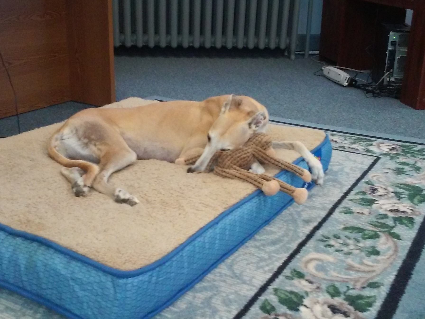 GREY2K USA Worldwide