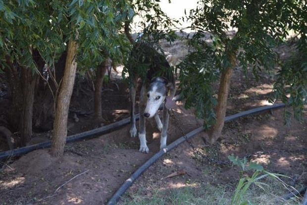 GREY2K USA Worldwide