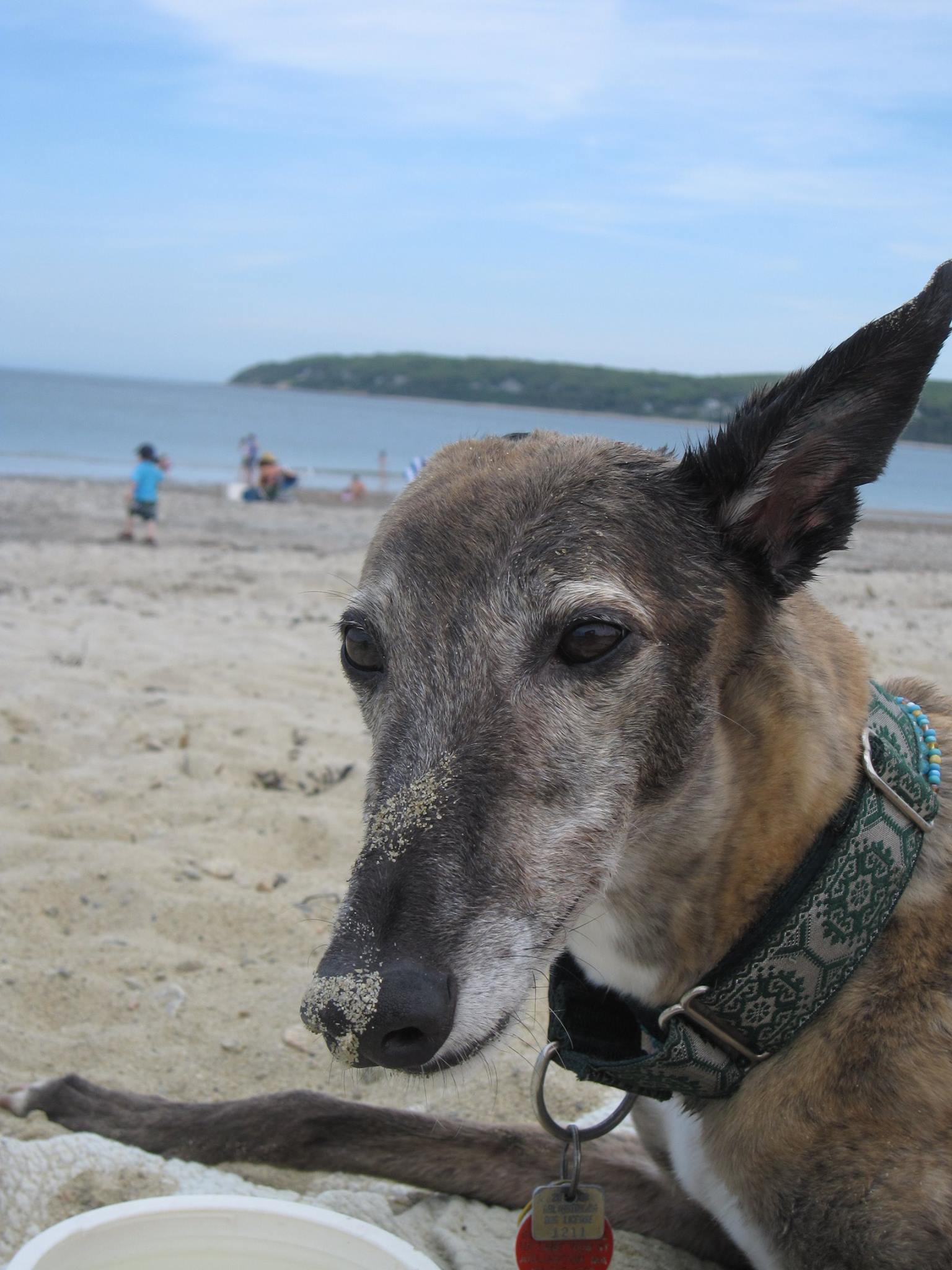 GREY2K USA Worldwide