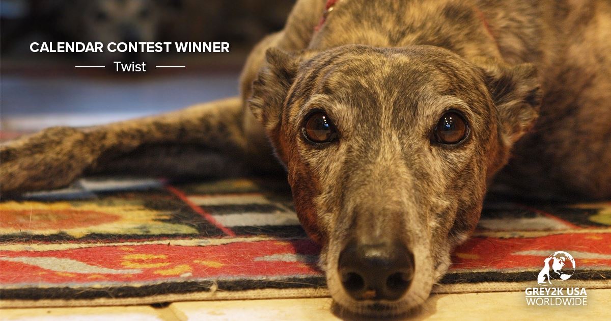 GREY2K USA Worldwide