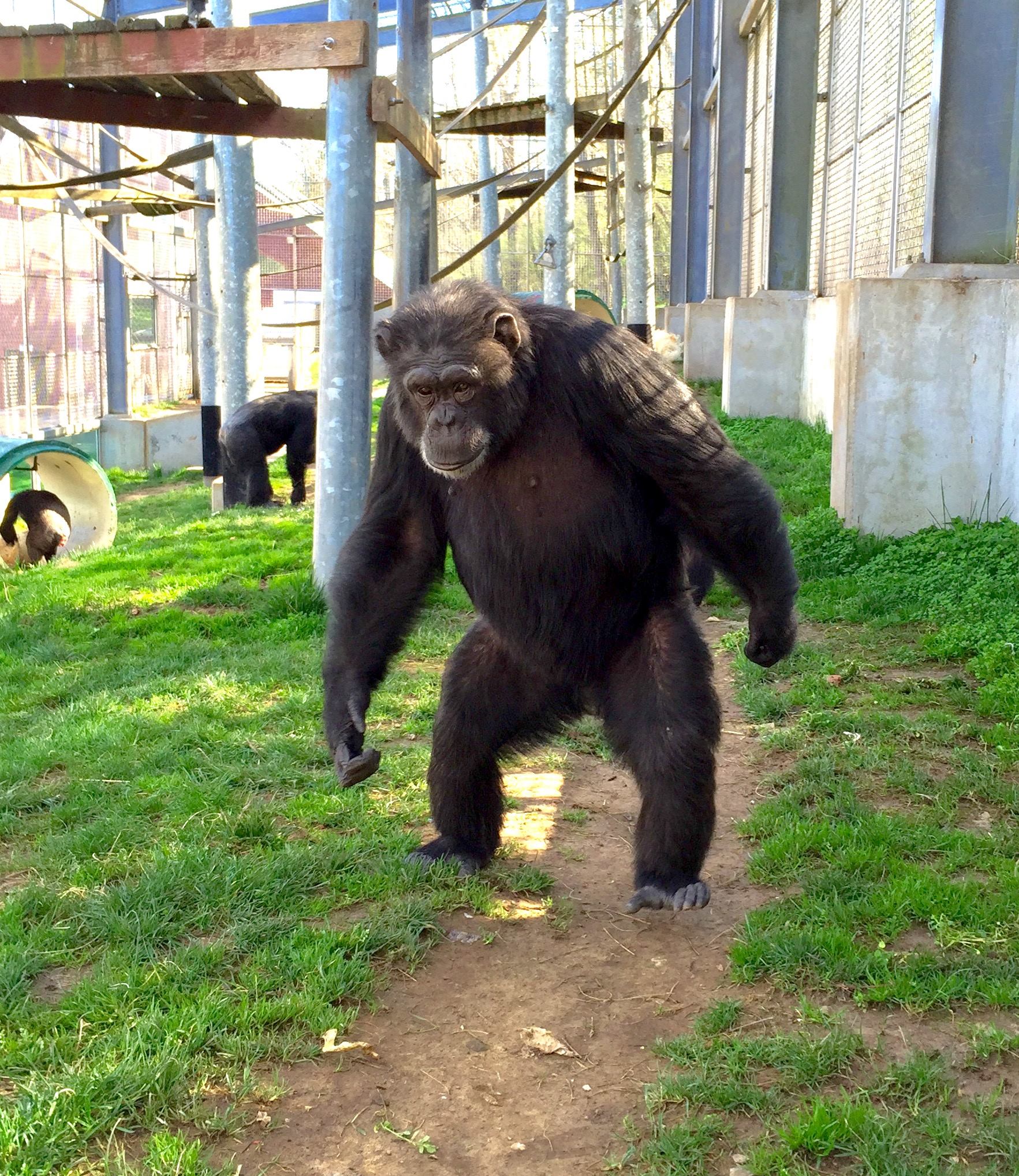 Primate Rescue Center Reviews and Ratings Nicholasville, KY Donate