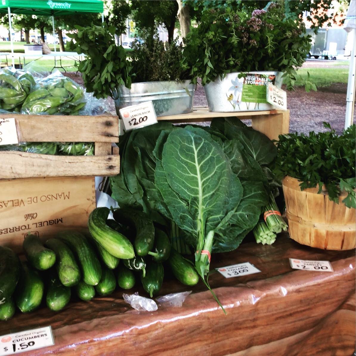 Growing Home Inc Reviews and Ratings Chicago, IL Donate, Volunteer