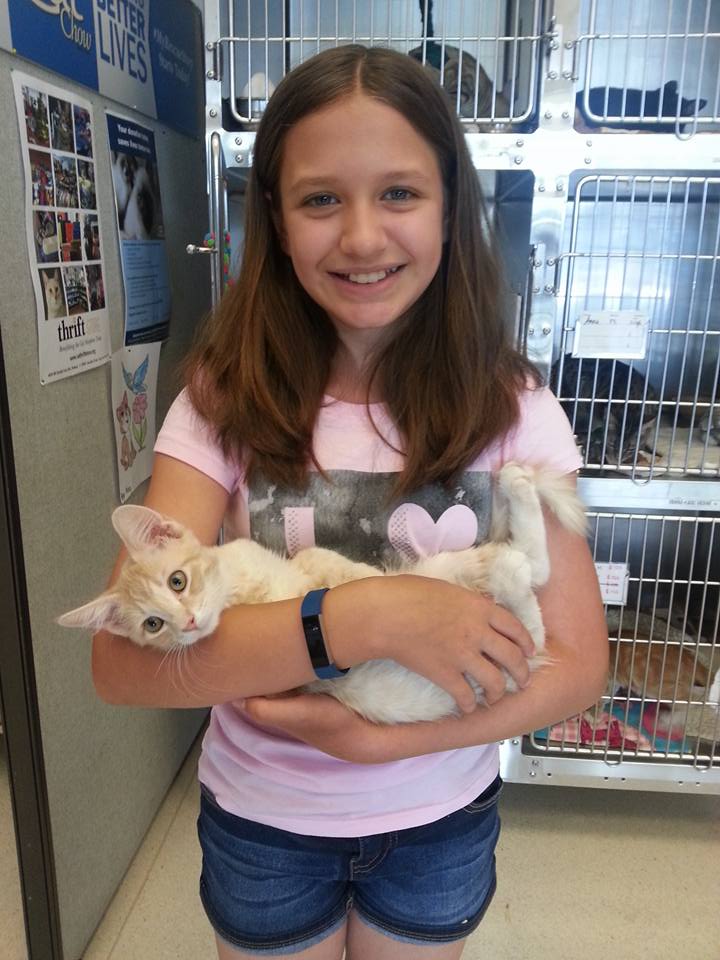 Cat Adoption Team Reviews and Ratings Sherwood, OR Donate