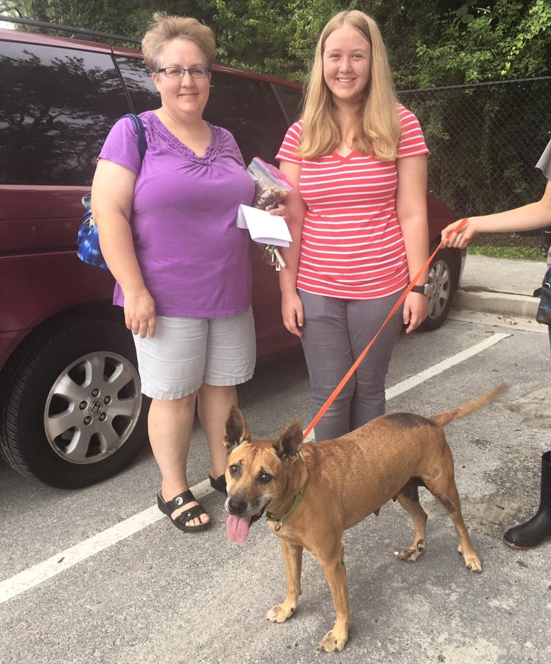 JACKSONVILLE HUMANE SOCIETY Reviews and Ratings Jacksonville, FL