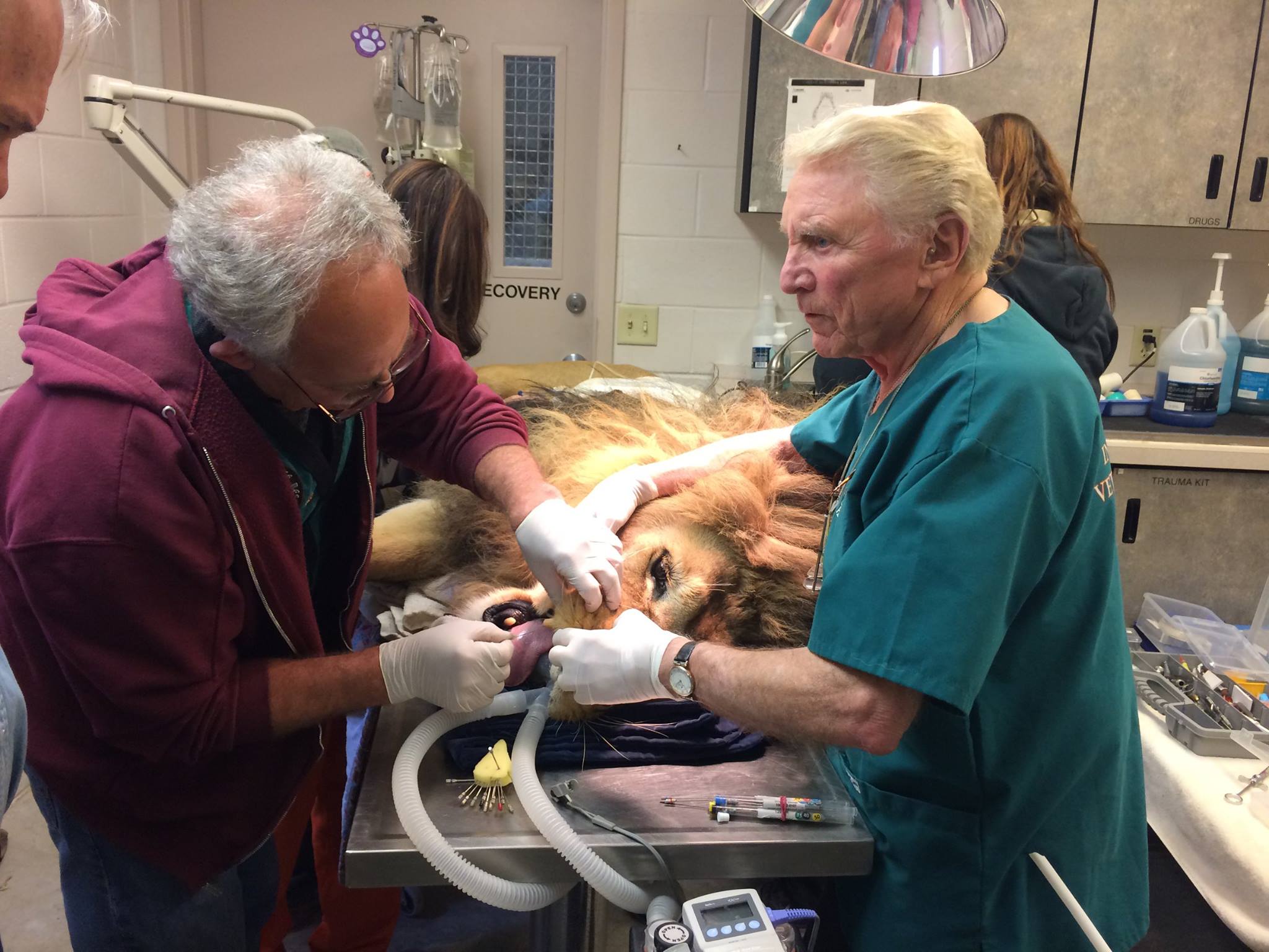 Peter Emily International Veterinary Dental Foundation Reviews and