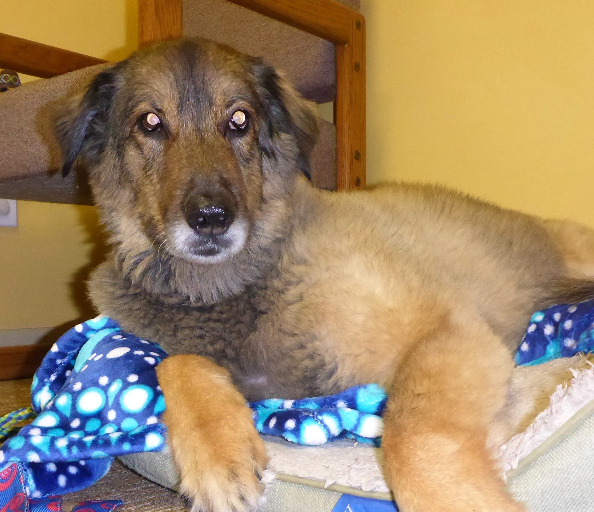 Habitat for Humanity of Snohomish County Reviews and Ratings Lynnwood