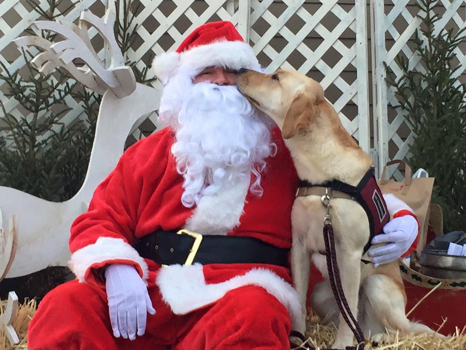 Pawsitive Perspectives Assistance Dogs (PawPADs) Reviews and Ratings