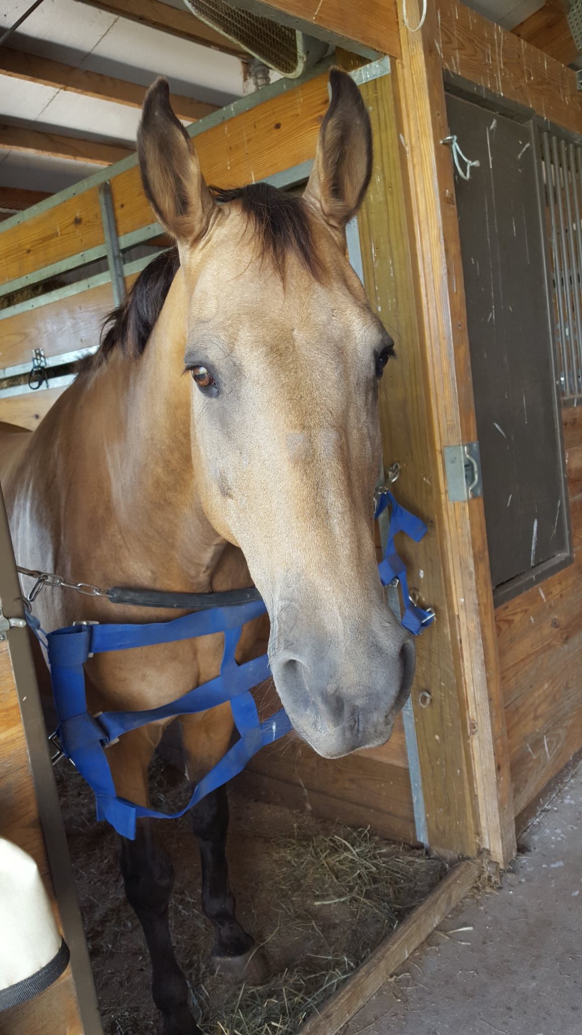 Hoffman Homes Inc Reviews and Ratings Littlestown, PA Donate