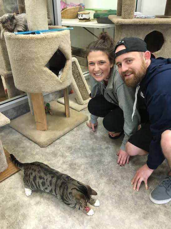 Happy Tails Pet Sanctuary Reviews and Ratings Sacramento, CA Donate