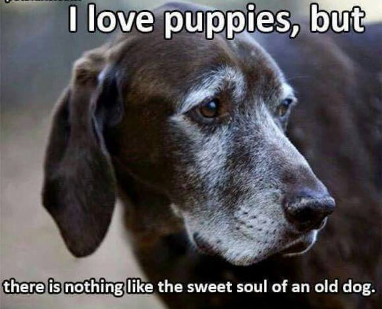 Second Life Thrift Store Reviews and Ratings Avondale