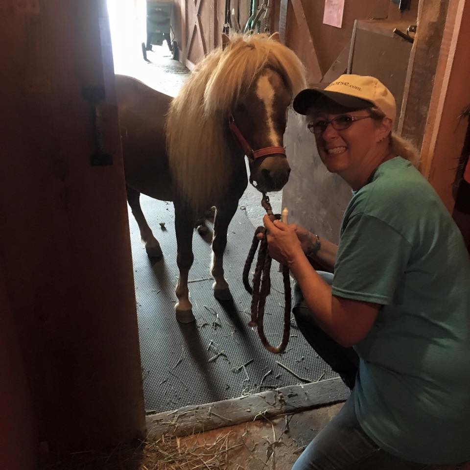 Gerdas Equine Rescue Inc Reviews and Ratings W Townshend, VT Donate