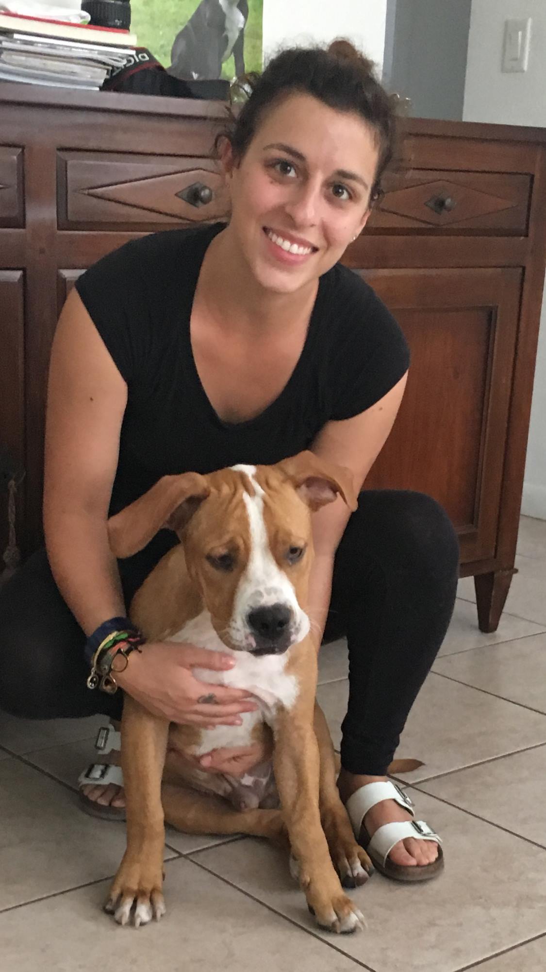 American dog rescue inc reviews and ratings dallas tx donate
